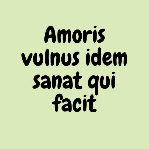 Amoris vulnus idem sanat qui facit significato traduzione