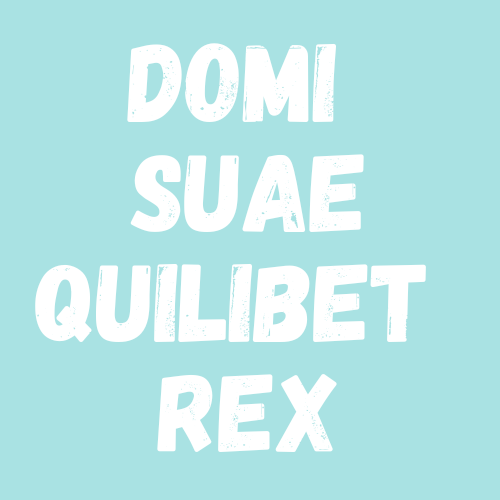 Domi suae quilibet rex significato traduzione