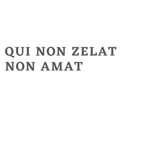Qui non zelat, non amat