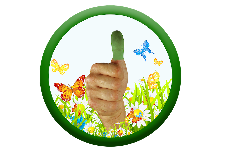 avere il pollice verde significato